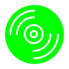 Vinyl Icon